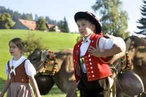 Viehschau im Appenzellerland